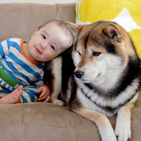小孩和狗头像