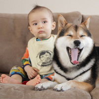 小孩和狗头像