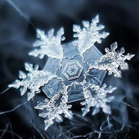 微信头像雪景图片