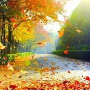 秋天风景头像图片大全_好看的唯美秋季风景头像图片