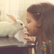 欧美小萝莉和兔子温暖头像