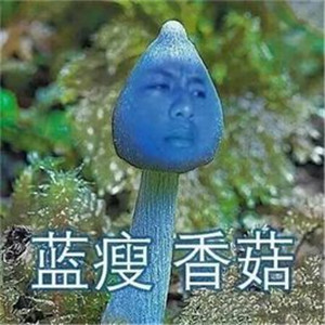 蓝瘦香菇头像