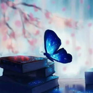 停落在书本上的美丽蝴蝶头像图片