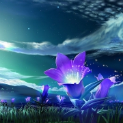 绽放夜空里的唯美花朵头像图片