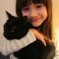 qq头像女生抱着猫