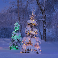 雪地夜景头像