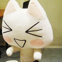 toro猫头像图片