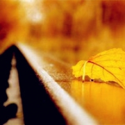 带有秋意的qq头像 秋意浓浓的唯美风景景色头像图片