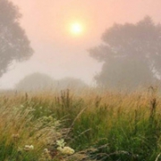 qq头像雾中风景,优美风景雾的头像图片