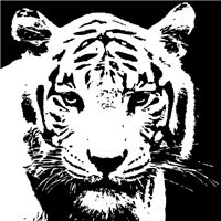 老虎头像图片霸气黑白
