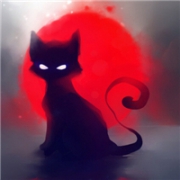 高冷黑猫头像_黑夜里的黑猫眼睛图片