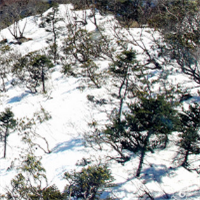 雪山风景头像图片