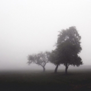 大雾朦胧风景头像图片_风景雾天的头像
