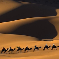 沙漠头像图片大全 沙漠的优美风景
