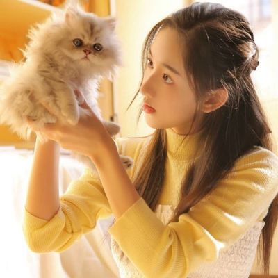 美女抱猫头像