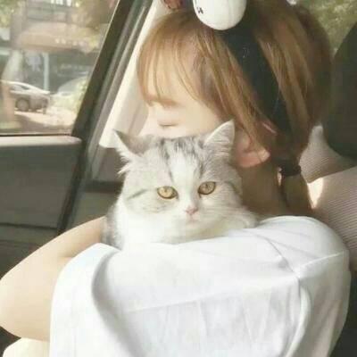 唯美女生抱猫头像