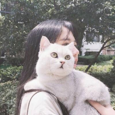 猫咪女头