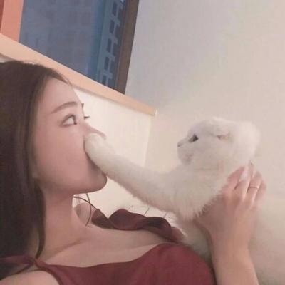 抱猫的女生头像图片