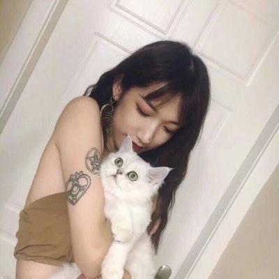 抱猫的女生头像图片