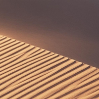 微信沙漠头像图片