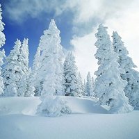 雪景头像图片