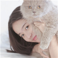 美女抱猫的头像图片大全