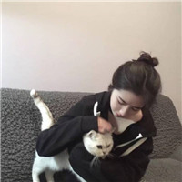 美女抱猫的头像图片大全