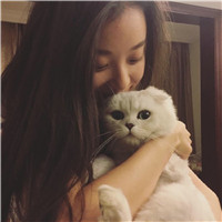 美女抱猫的头像图片大全