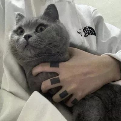 猫控男头