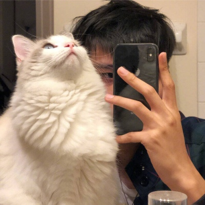 猫控男头