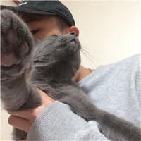 高清抱猫qq头像男生