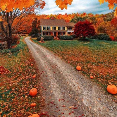 秋天的微信头像风景