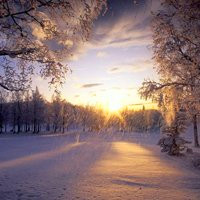 冬季雪景唯美图片头像