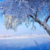 冬季雪景唯美图片头像